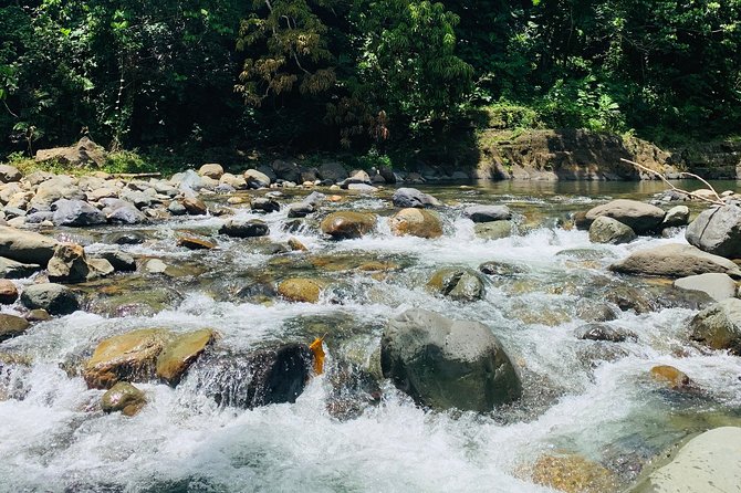 Concrete Jungle to the Actual Jungle, The Complete Package Tour - Swimming in the rainforest river