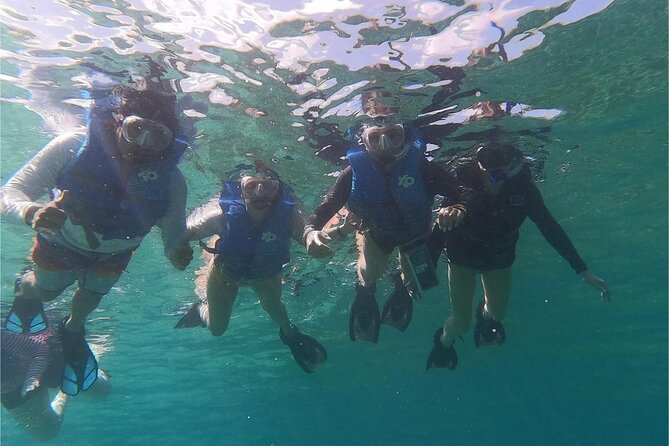 Coral Reef and Sea Turtle Snorkeling Experience - Key points to know before you book