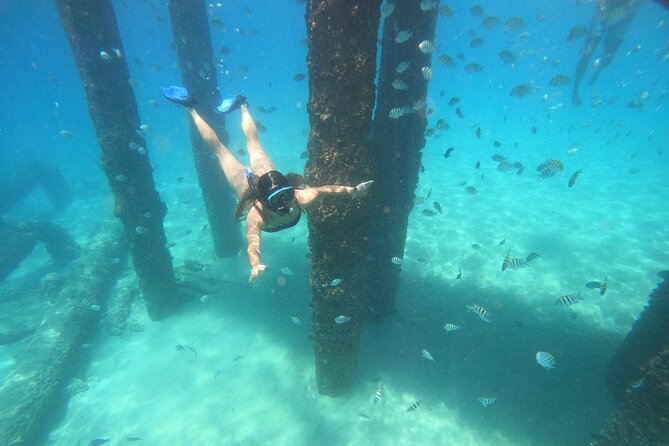 Coral Reef Snorkel Adventure with Photos and Videos - Six things to know before you book