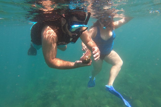 Coral Reef Snorkel Adventure with Photos and Videos - Starting at Black Eagle Road in Rincón