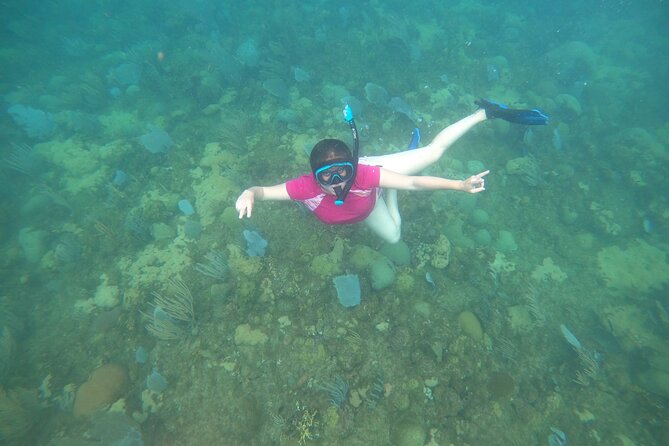 Coral Reef Snorkel Adventure with Photos and Videos - What the 90-minute schedule really gives you