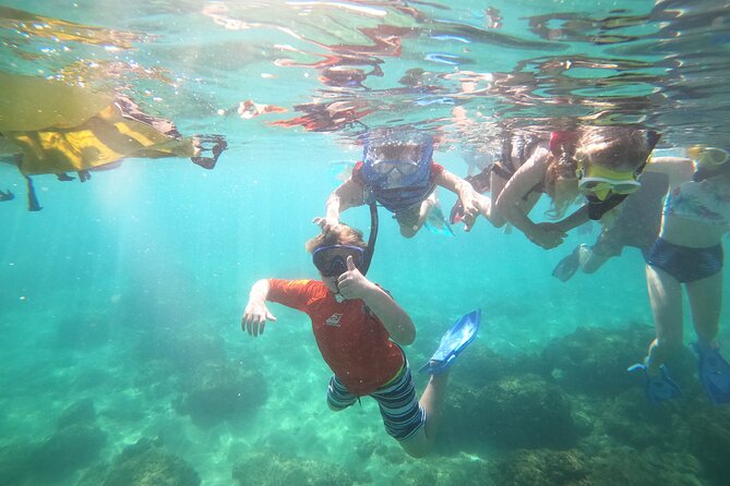 Coral Reef Snorkel Adventure with Photos and Videos - How the guides handle nervous swimmers and children