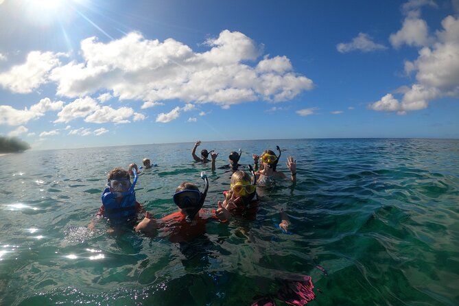 Coral Reef Snorkel Adventure with Photos and Videos - The value of $50 per person