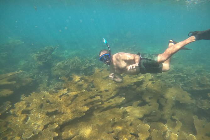 Coral Reef Snorkel Adventure with Photos and Videos - Weather, cancellations, and practical timing