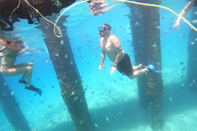 Coral Reef Snorkel Adventure with Photos and Videos - A calm lesson before the reef
