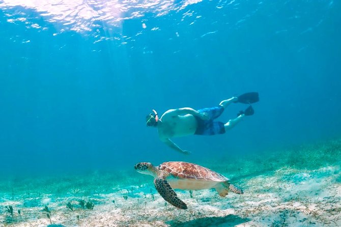 Culebra Snorkel and Turtle Adventure with Transport - Seeing Culebra by minibus