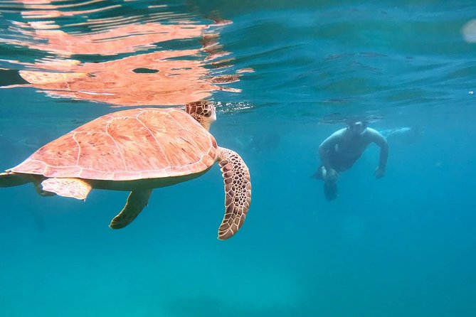 Culebra Snorkel and Turtle Adventure with Transport - Meeting the guide at Ceiba Ferry Terminal