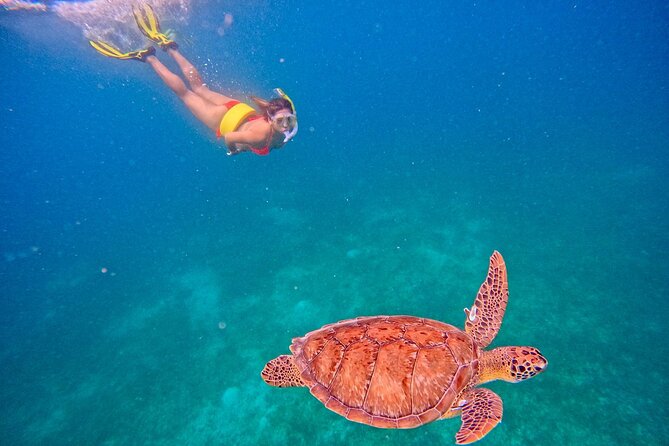 Culebra Swim with Turtles Adventure and Flamenco Beach by Ferry - What the $130 price really covers