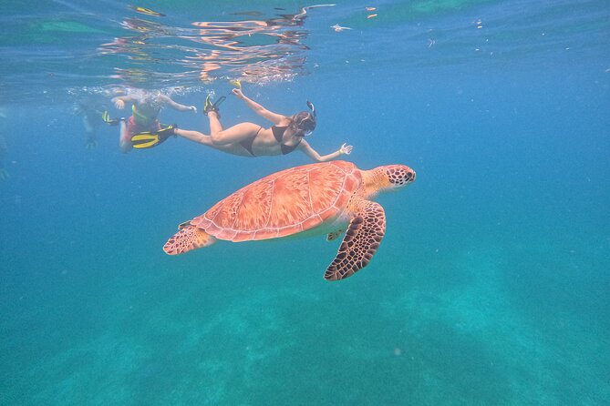 Culebra Swim with Turtles Adventure and Flamenco Beach by Ferry - Tamarindo Beach: the main event for strong swimmers