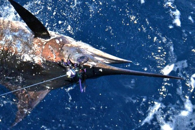 Deep Sea Fishing Private Boat Charter in San Juan - How the price works for a private group