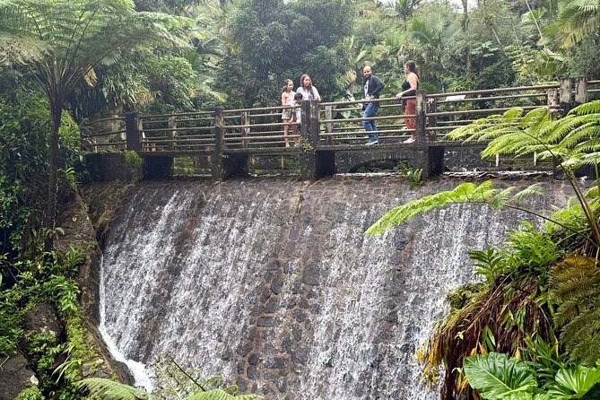Discover El Yunque National Park: Half-Day Rainforest Tour - Is the $115 price fair?