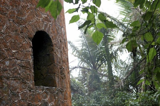 Discover El Yunque National Park: Half-Day Rainforest Tour - The nature walk: short, gentle, and not a hike