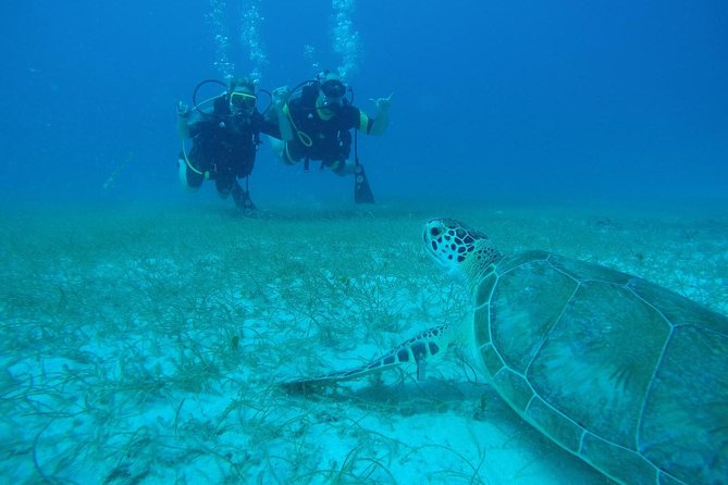 Discover Fajardo: 2-Tank Scuba Diving - Key things to know before you book