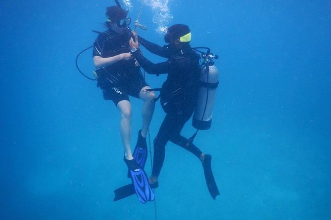 Discover Fajardo: 2-Tank Scuba Diving - What the $238.57 price really buys