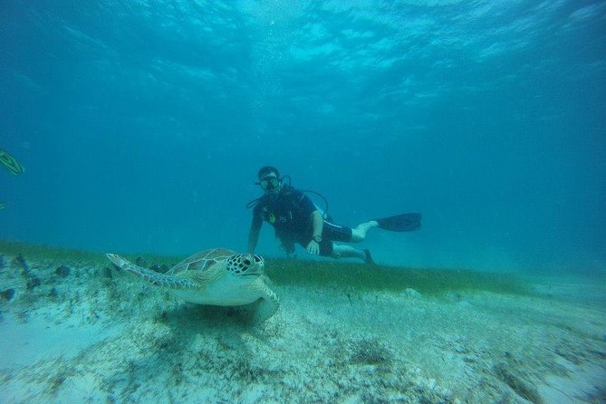 Discover Fajardo: 2-Tank Scuba Diving - Gear fitting and the first underwater lesson