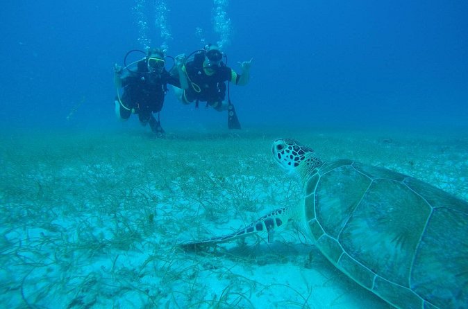 Discover Fajardo: 2-Tank Scuba Diving - Booking, cancellations, and possible changes