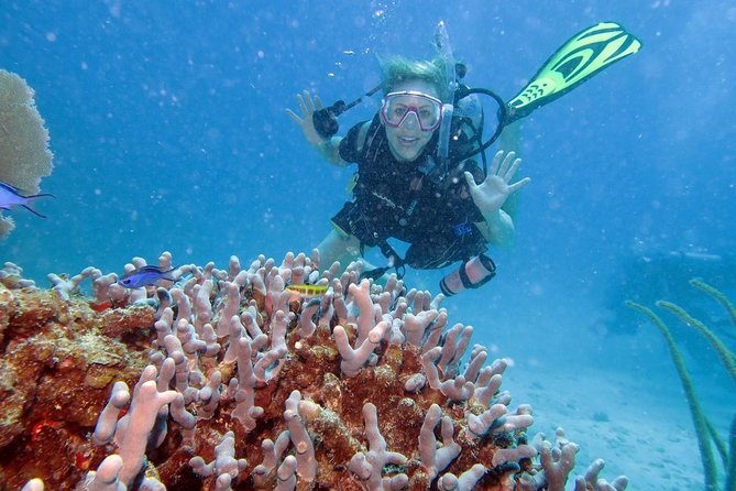Discover Fajardo: 2-Tank Scuba Diving - Starting at 7:30 a.m. in Fajardo