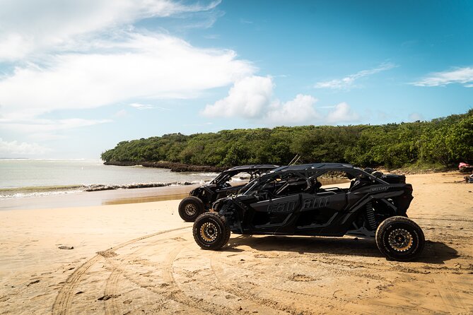 Discover Puerto Rico Like a Local 4 Hour Private Beach Escape - Key things to know before you book