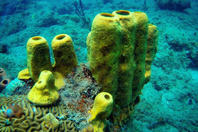 Discover Scuba Diving - Reaching the Reef Without a Boat