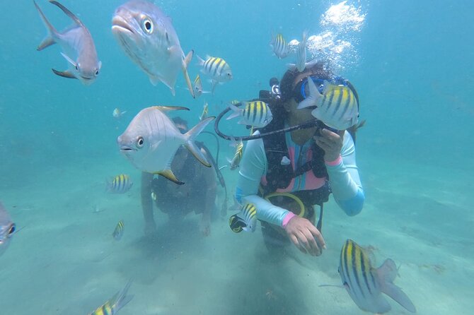Discover Scuba Diving in San Juan: Perfect for First-Time Divers - Key points before you book