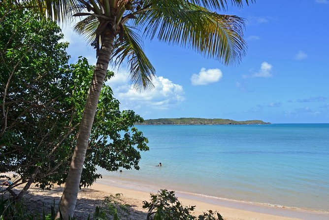 Discover Scuba Diving in San Juan: Perfect for First-Time Divers - Entering the shallow cove beside the hotel