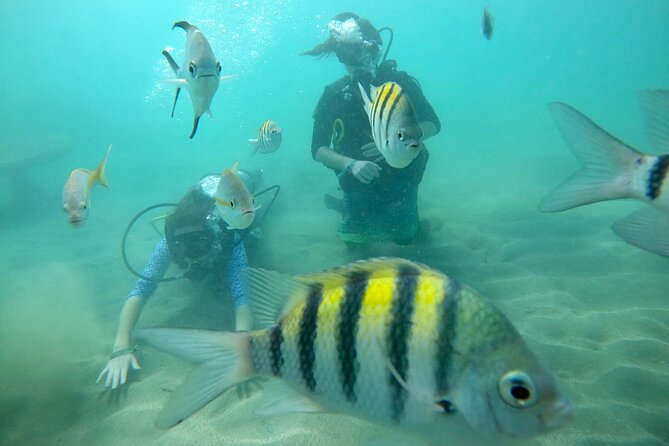 Discover Scuba Diving in San Juan: Perfect for First-Time Divers - Weather, cancellation, and planning advice