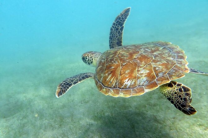 Discover Scuba Diving in San Juan - Getting fitted with mask, fins, and scuba gear
