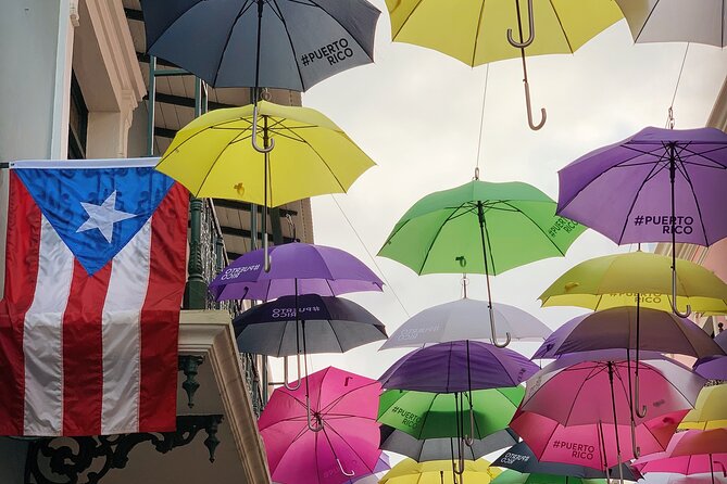 Discovering Puerto Rico: Lifestyle, Art, and Cultural Tour - Comfort, group size, and the real value of $75