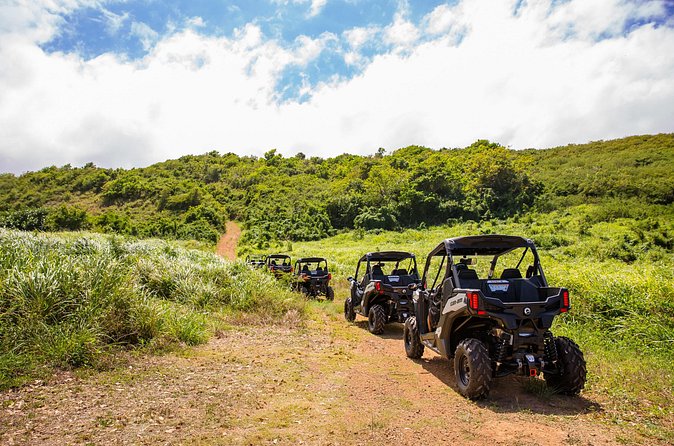 Dos Mares and Rainforest UTV Adventure Tour in Fajardo - El Yunque views without a long rainforest hike