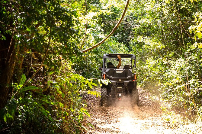 Dos Mares and Rainforest UTV Adventure Tour in Fajardo - Puerto Chico Marina and the island chain