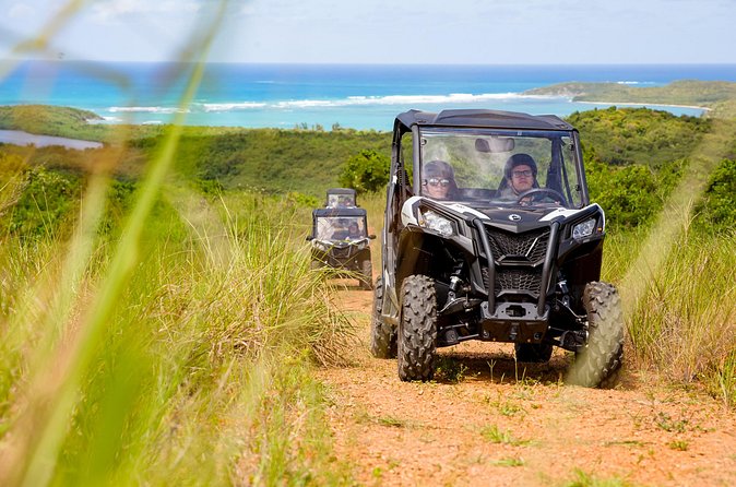Dos Mares and Rainforest UTV Adventure Tour in Fajardo - Guides make a short tour feel more worthwhile
