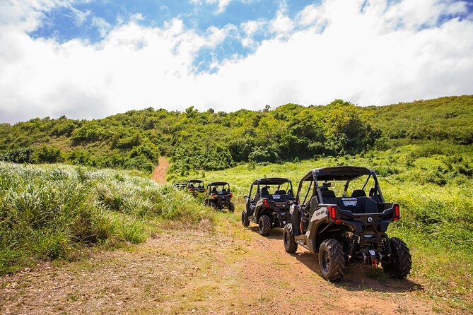 Dos Mares and Rainforest UTV Adventure Tour in Fajardo - Laguna Grande: a five-minute look at Fajardo’s glowing bay