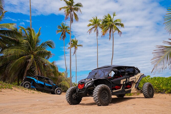 Drive a UTV Can-Am on a Beach Tour in San Juan Puerto Rico - What this San Juan UTV tour is really like