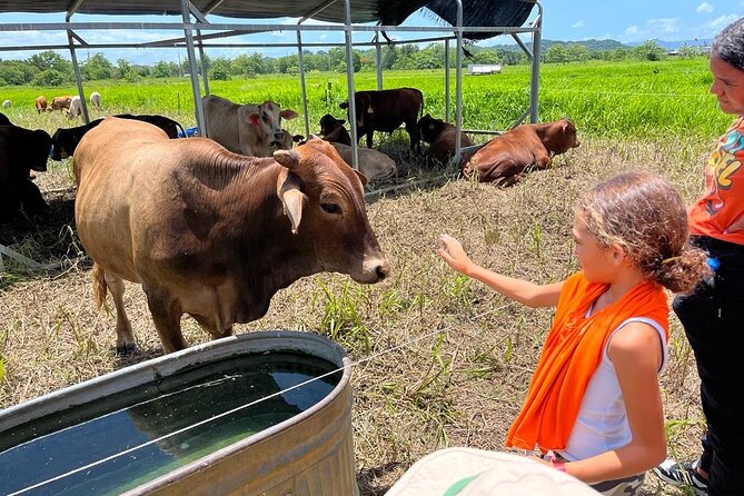 Eco Friendly Farming Tour to Explore Dorado's Most Beautiful Farm - Key Points Before You Go