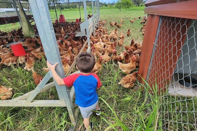 Eco Friendly Farming Tour to Explore Dorado's Most Beautiful Farm - Reaching Finca Pastoreo Near Dorado
