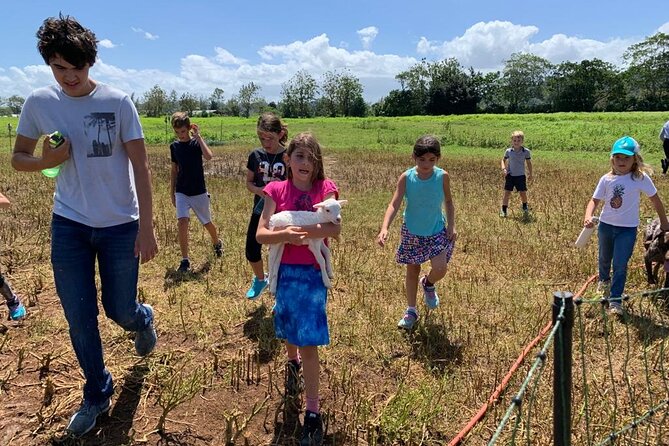 Eco Friendly Farming Tour to Explore Dorado's Most Beautiful Farm - Why the Regenerative Farming Lesson Matters