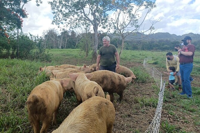 Eco Friendly Farming Tour to Explore Dorado's Most Beautiful Farm - Ending at the Farm Store