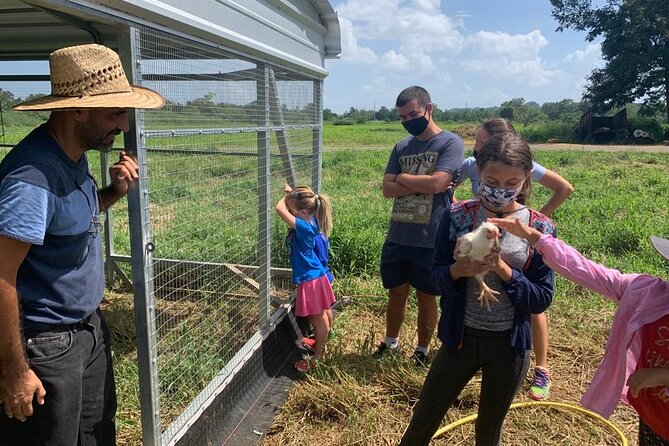 Eco Friendly Farming Tour to Explore Dorado's Most Beautiful Farm - Pizza, Juice, Gelato, and Artisanal Beer