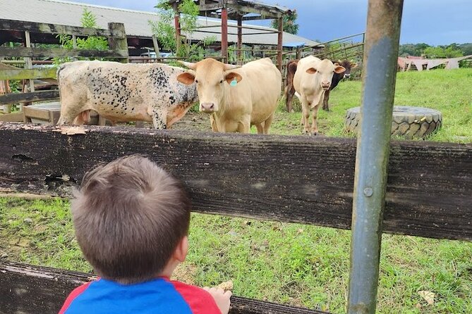 Eco Friendly Farming Tour to Explore Dorado's Most Beautiful Farm - Is the $20 Price Good Value?