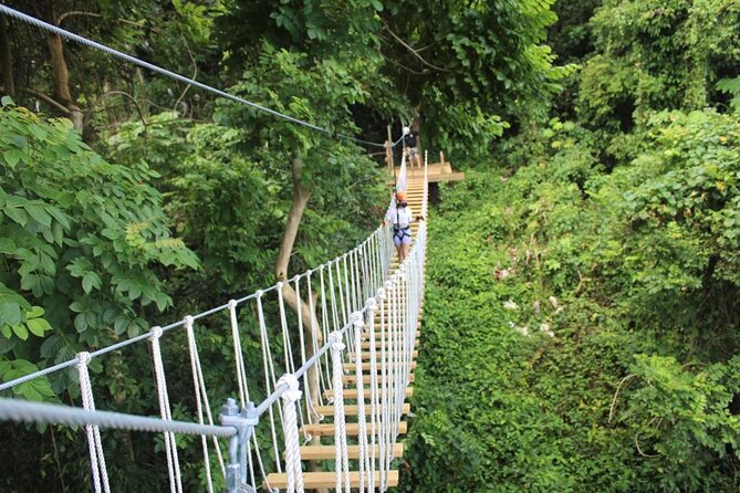 El Yunque Adventure Trail - Key points to know before booking