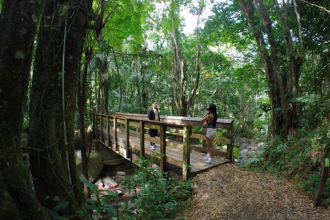 El Yunque Beach Jetski + Rainforest Hike Adventure Tour - Luquillo Beach and the water-access sandbar