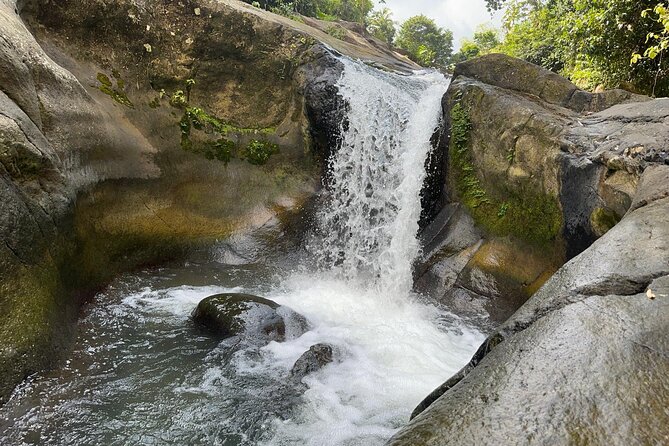 El Yunque & Beach Tour: Waterslide, Waterfall, Food, & Photos - What the $130 price really covers