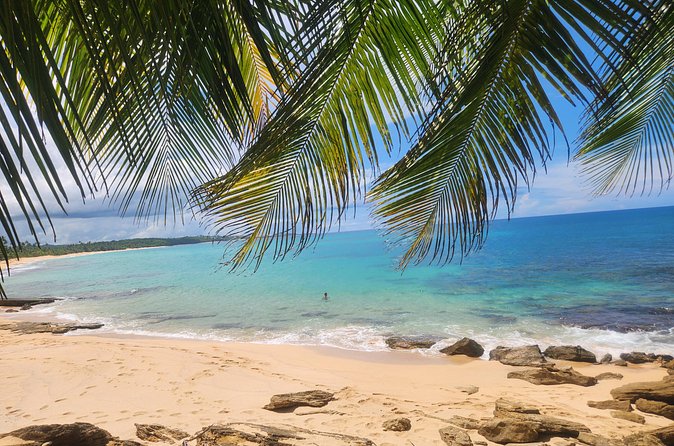 El Yunque & Beach Tour: Waterslide, Waterfall, Food, & Photos - Food, photos, and the Luquillo Beach hour