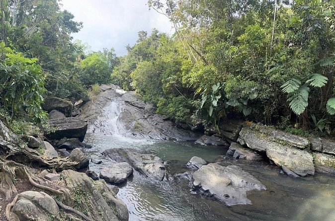 El Yunque & Beach Tour: Waterslide, Waterfall, Food, & Photos - Who will enjoy this most