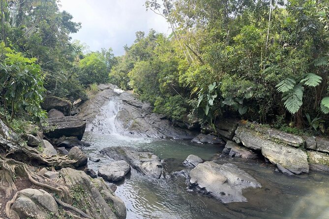 El Yunque & Beach Tour: Waterslide, Waterfall, Food, & Photos - How the natural waterslide actually works