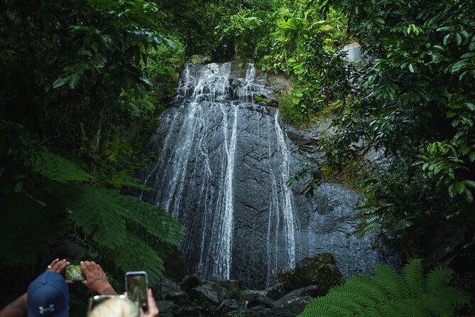 El Yunque Educational Rainforest Walk Easy and Family Friendly - Yokahú Tower and Puerto Rico from above