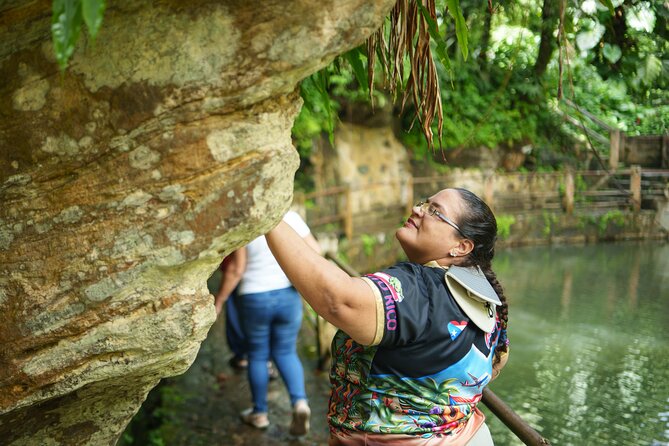 El Yunque Educational Rainforest Walk Easy and Family Friendly - Loíza and a taste of Puerto Rican culture