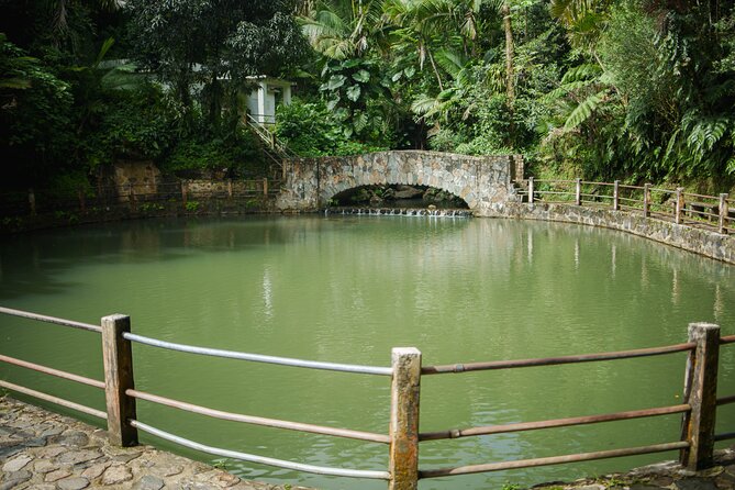 El Yunque Educational Rainforest Walk Easy and Family Friendly - What $85 includes, and what it does not