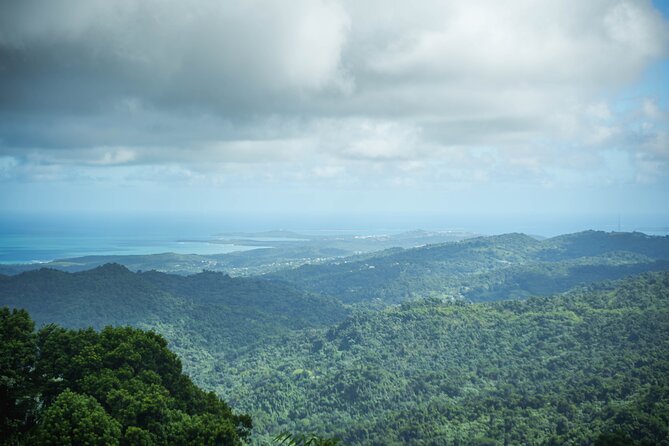El Yunque Educational Rainforest Walk Easy and Family Friendly - El Portal Rainforest Center and the treetop view