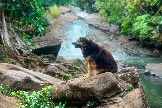 El Yunque Hike, Waterslide & Luquillo Kiosks Food with Transport - Luquillo Beach: A Useful Change of Pace